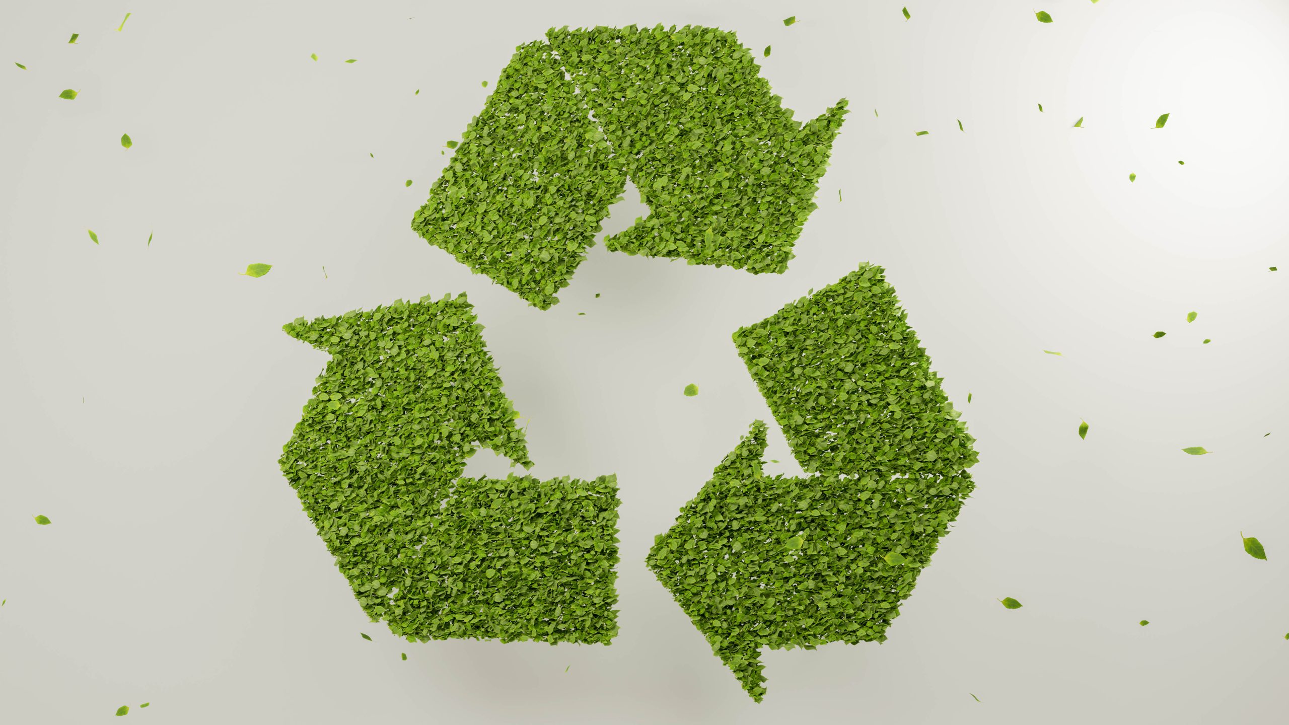 rodenticida biodegradable basado en sustancias naturales